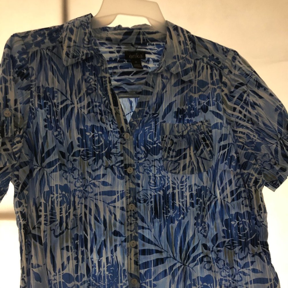 Blue Blouse